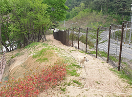 힐링 산책길 사진