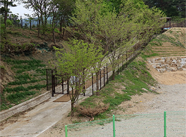 힐링 산책길 사진