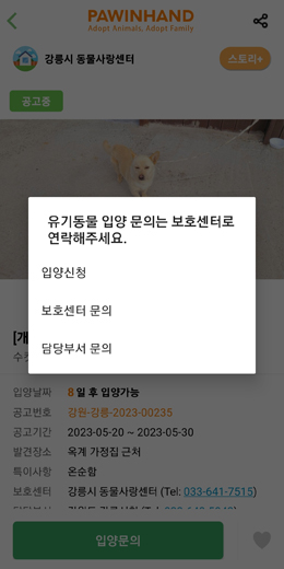 입양신청하기 이미지